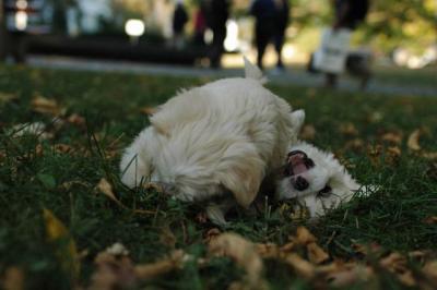 Oct6_04_716.JPG