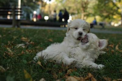 Oct6_04_718.JPG