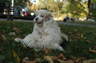 Oct6_04_719.JPG