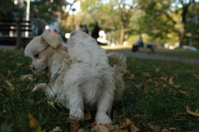 Oct6_04_720.JPG