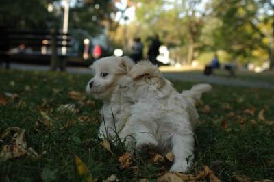 Oct6_04_721.JPG