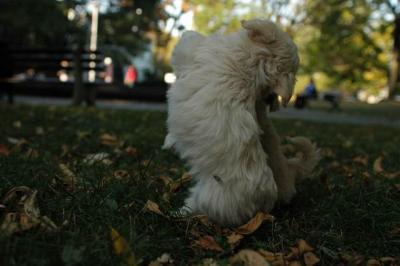 Oct6_04_724.JPG