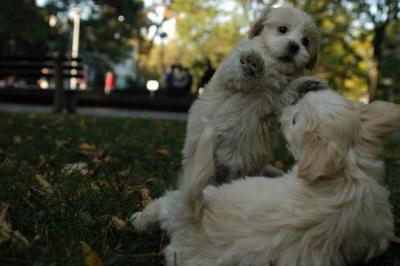 Oct6_04_725.JPG