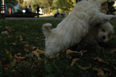 Oct6_04_727.JPG