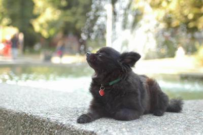 Oct6a_04_005.JPG