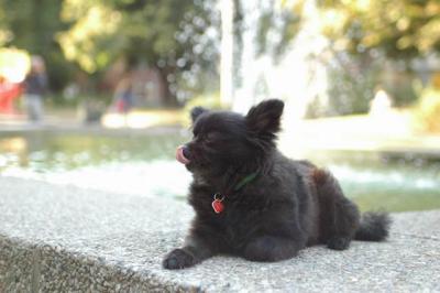 Oct6a_04_006.JPG