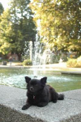 Oct6a_04_009.JPG