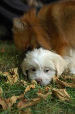 Oct6a_04_015.JPG
