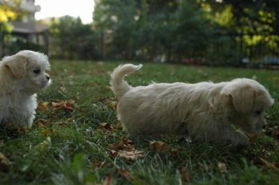 Oct6a_04_021.JPG