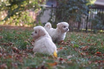 Oct6a_04_046.JPG