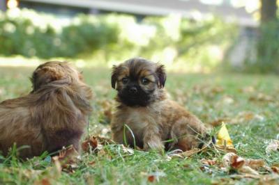 Oct6a_04_054.JPG