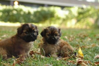 Oct6a_04_056.JPG