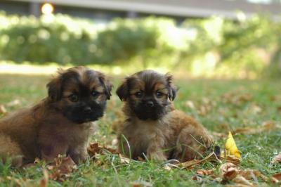 Oct6a_04_057.JPG