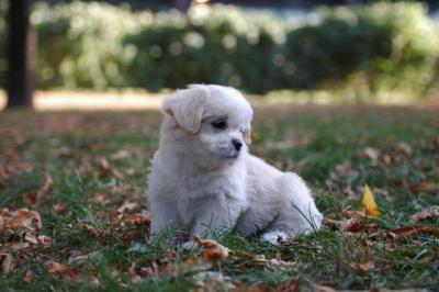 Oct6a_04_068.JPG