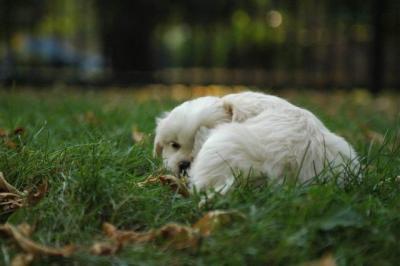 Oct6a_04_092.JPG