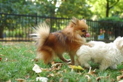 Oct6a_04_099.JPG