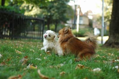 Oct6a_04_102.JPG