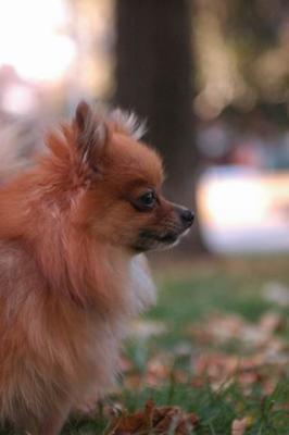 Oct6a_04_108.JPG