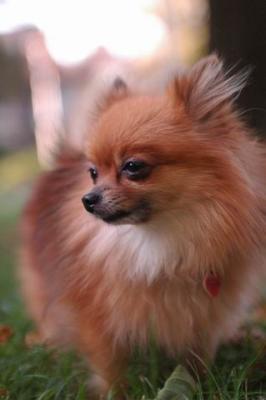 Oct6a_04_110.JPG