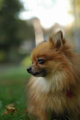 Oct6a_04_121.JPG