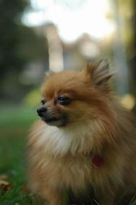 Oct6a_04_123.JPG