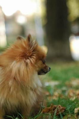 Oct6a_04_126.JPG