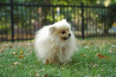 Oct6a_04_139.JPG