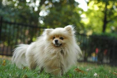 Oct6a_04_141.JPG