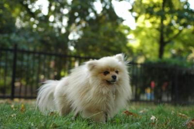 Oct6a_04_142.JPG