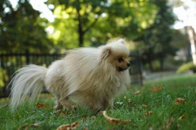 Oct6a_04_144.JPG