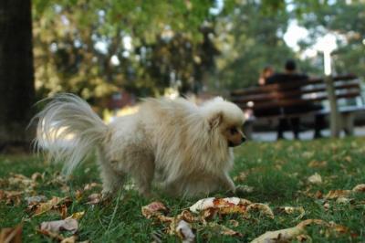 Oct6a_04_149.JPG