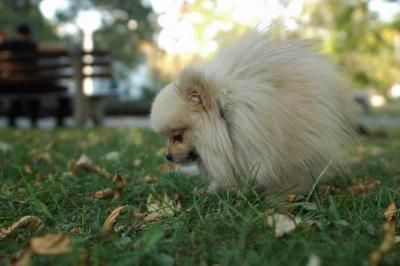 Oct6a_04_153.JPG