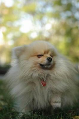 Oct6a_04_158.JPG