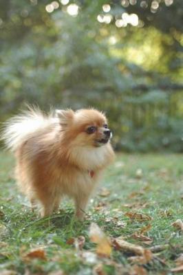 Oct6a_04_209.JPG
