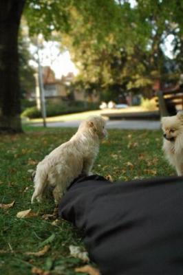 Oct6a_04_223.JPG