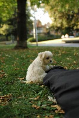 Oct6a_04_230.JPG