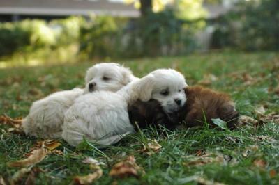 Oct6a_04_235.JPG