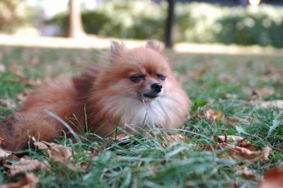 Oct6a_04_244.JPG