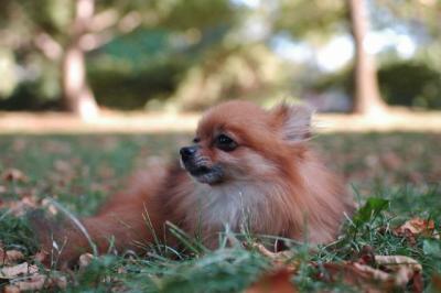 Oct6a_04_252.JPG
