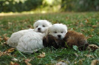 Oct6a_04_266.JPG