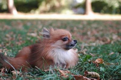 Oct6a_04_271.JPG