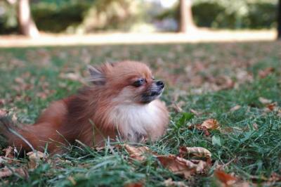 Oct6a_04_274.JPG