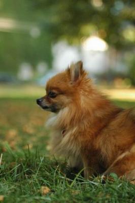 Oct6a_04_279.JPG