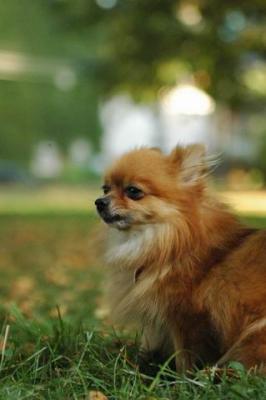 Oct6a_04_281.JPG