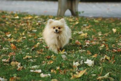 Oct6a_04_286.JPG