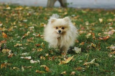 Oct6a_04_288.JPG