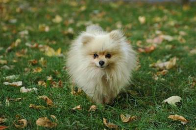Oct6a_04_290.JPG