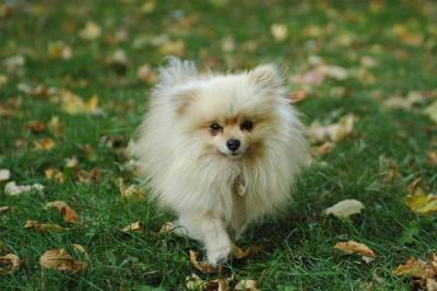 Oct6a_04_291.JPG
