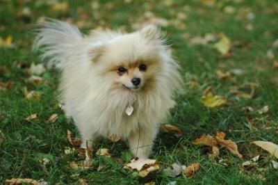 Oct6a_04_292.JPG