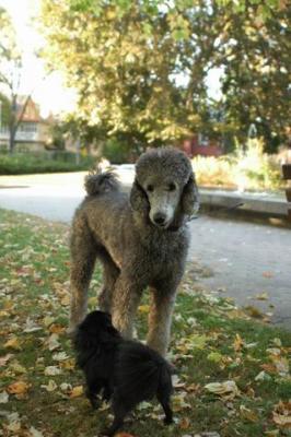Oct6a_04_310.JPG